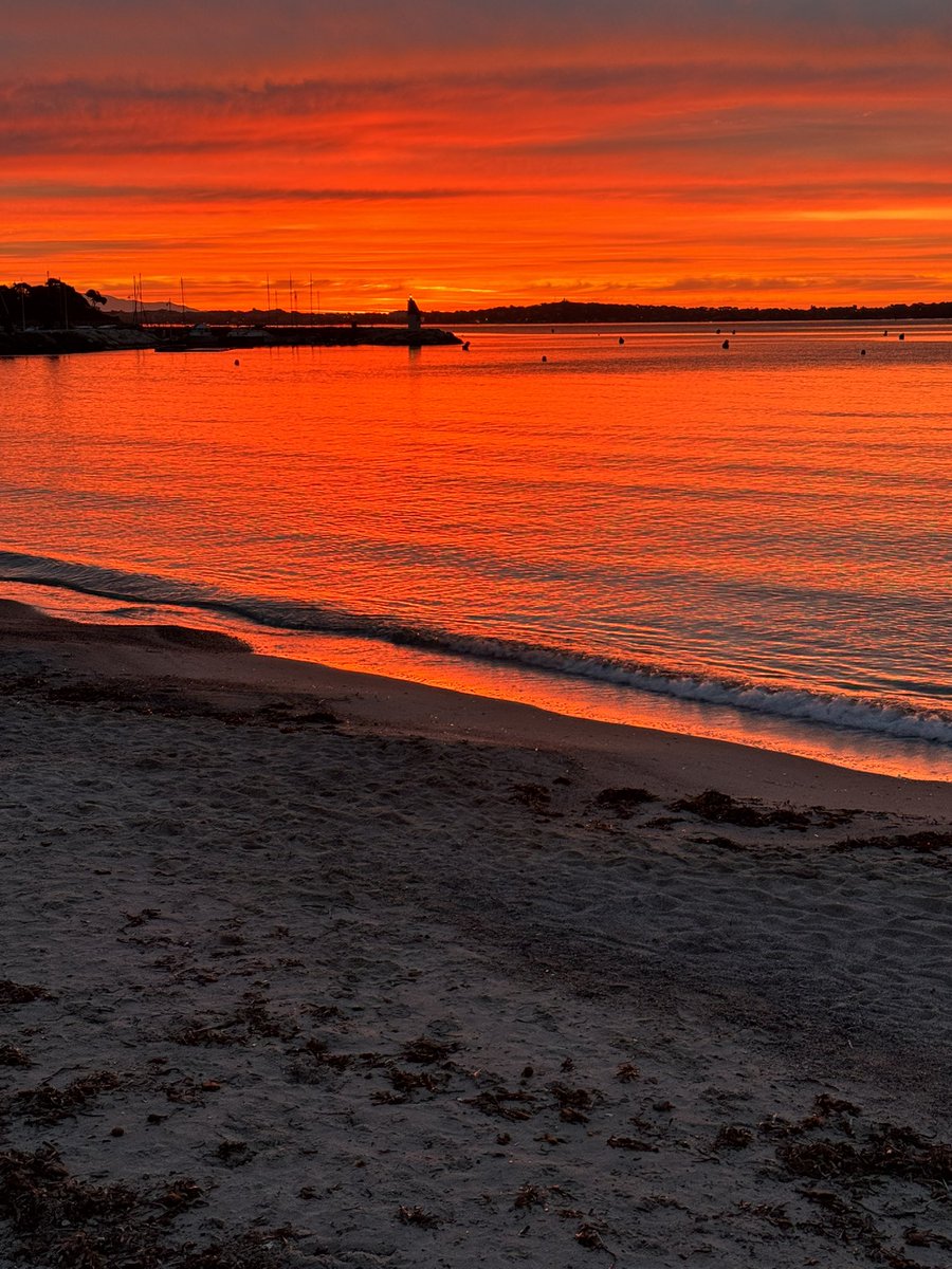 ReneTombarel's tweet image. Variation de couleurs à l’aurore ce dimanche #cannes #CotedAzurFrance @Cannes_France @villecannes