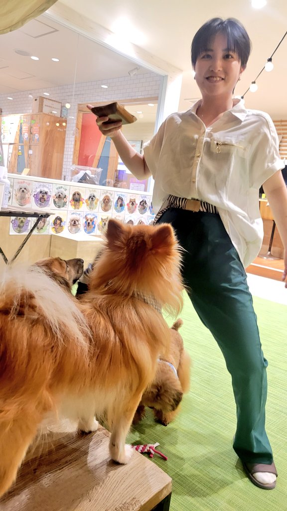 高倉良文🐱ネコ脱出の座長 tweet media