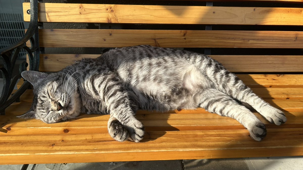 Akasha🌸💤 tweet media