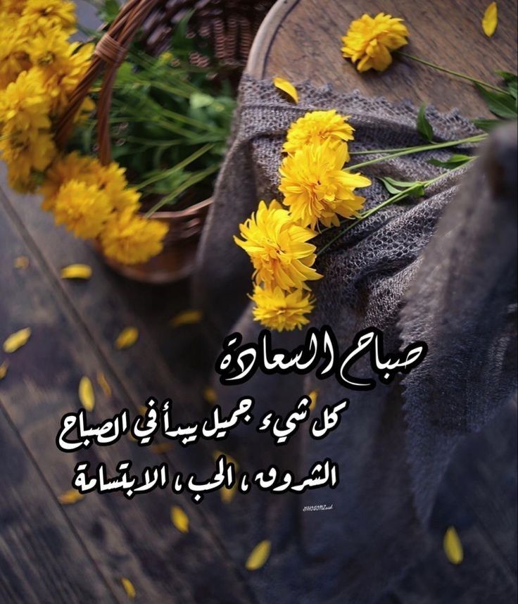 عريبدار tweet media