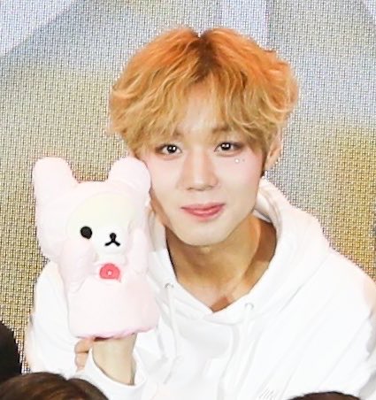 티모ੈ✩ tweet media