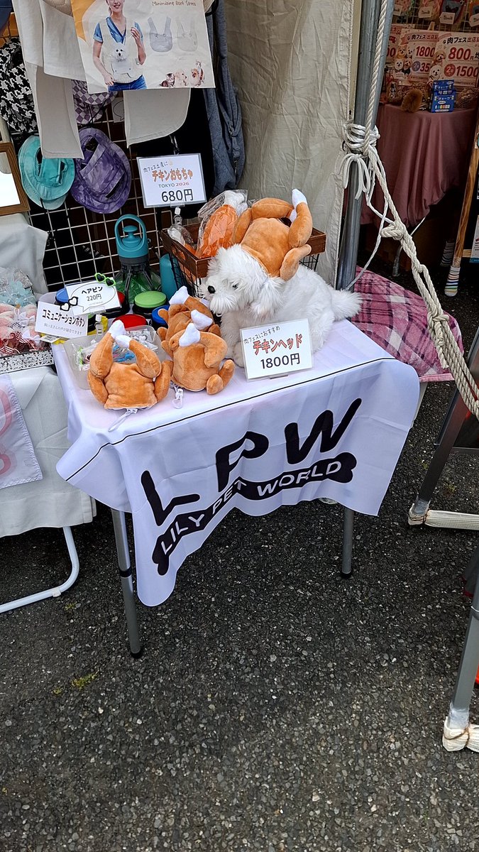 sinobu1985 tweet media