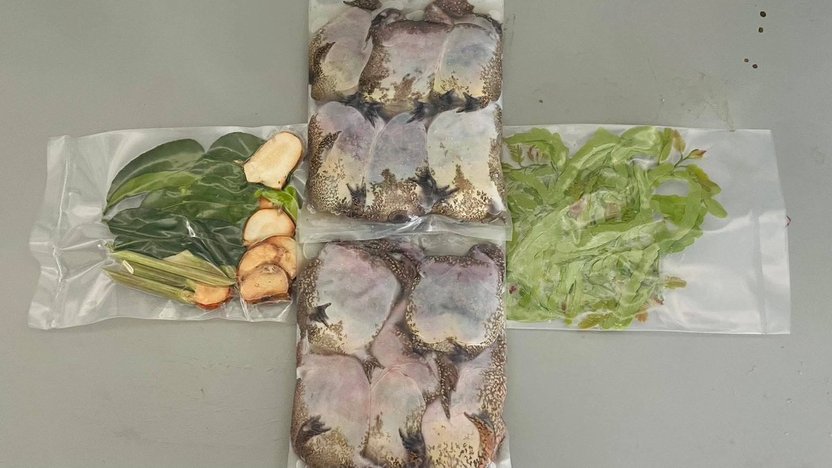 JTavichr's tweet photo. สอบถามได้นะ  อึ่งไข่  โลละ420
ไข่มดแดง กะปูกละ340คะ
พร้อมส่งนะคะ https://t.co/bC1nRWrxM3