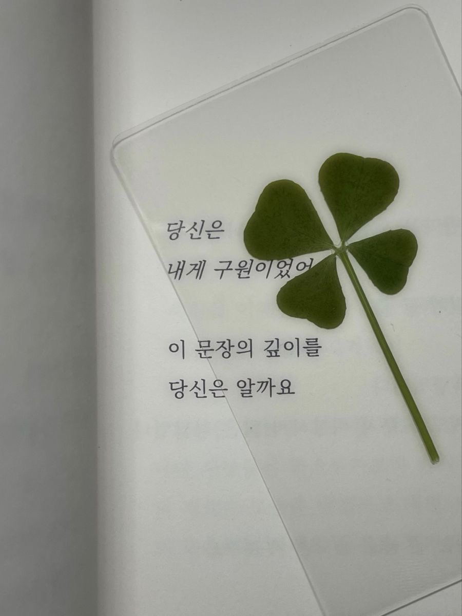 ryuu250919's tweet photo. 1트만에 최애//🍀 https://t.co/FSocnHePcf