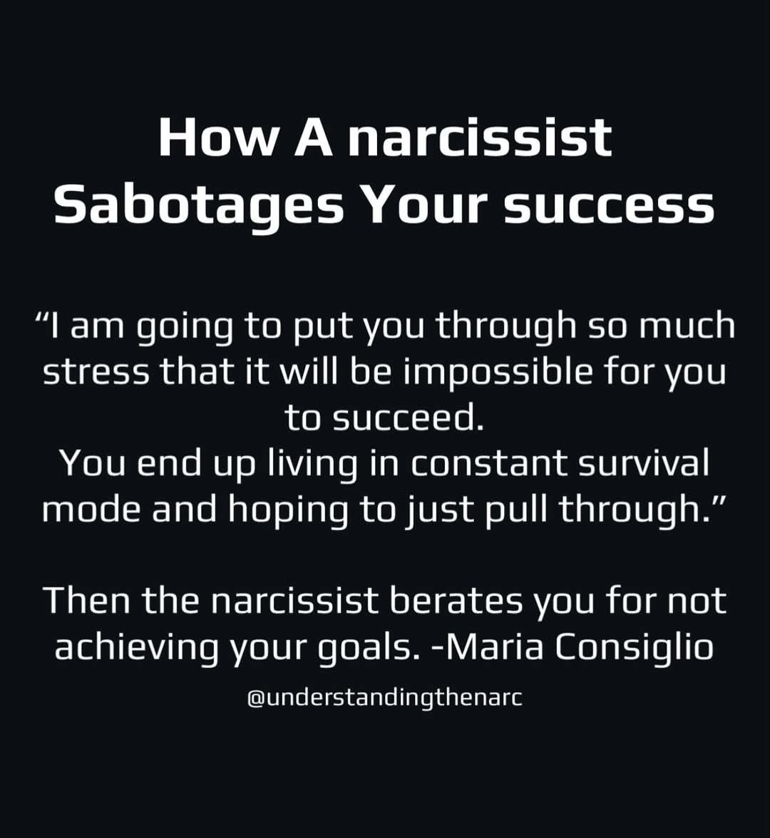 The Narcissist Box tweet media
