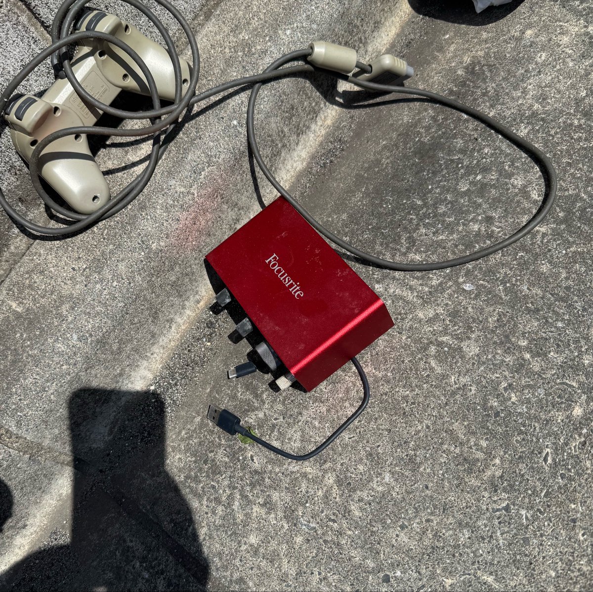 野生の Focusrite が現れた！
