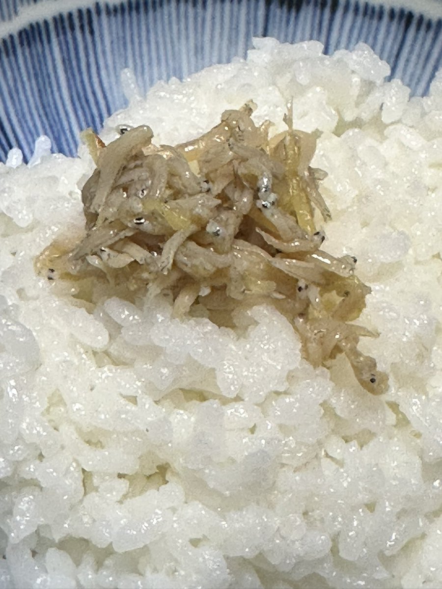 福井中部出版（中部競輪新聞福井版） tweet media