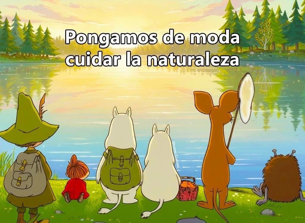 Rincón Curioso tweet media