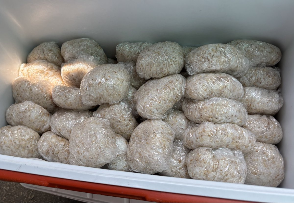 csacKOBE's tweet photo. 2日（土）の小野浜公園・炊き出しは豚汁とおにぎりの提供でした。調理の担当はカトリック住吉教会のみなさん、92名の方の利用がありました。次回は7日（木）12時配食スタートの予定です（12時半まで）。5日（火）は休日のため炊き出しはありません。よろしくお願いいたします。 https://t.co/iVMd84QCuB
