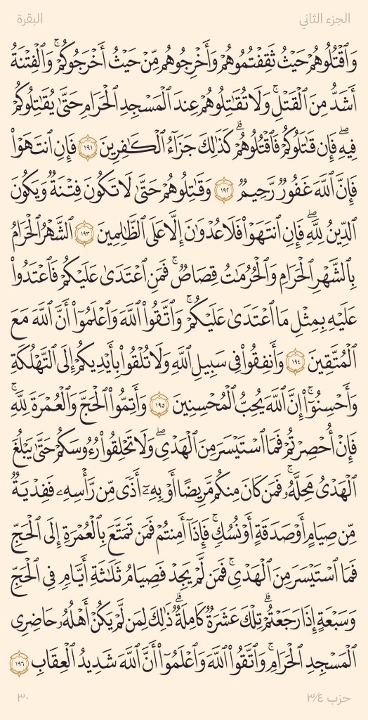 عسيلي🦅 tweet media