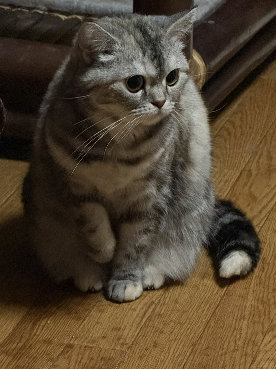 まそっぷ tweet media