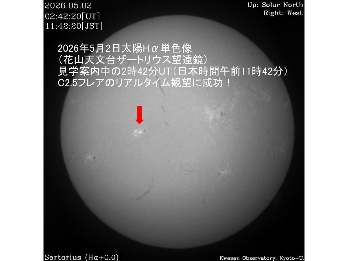 柴田一成 tweet media