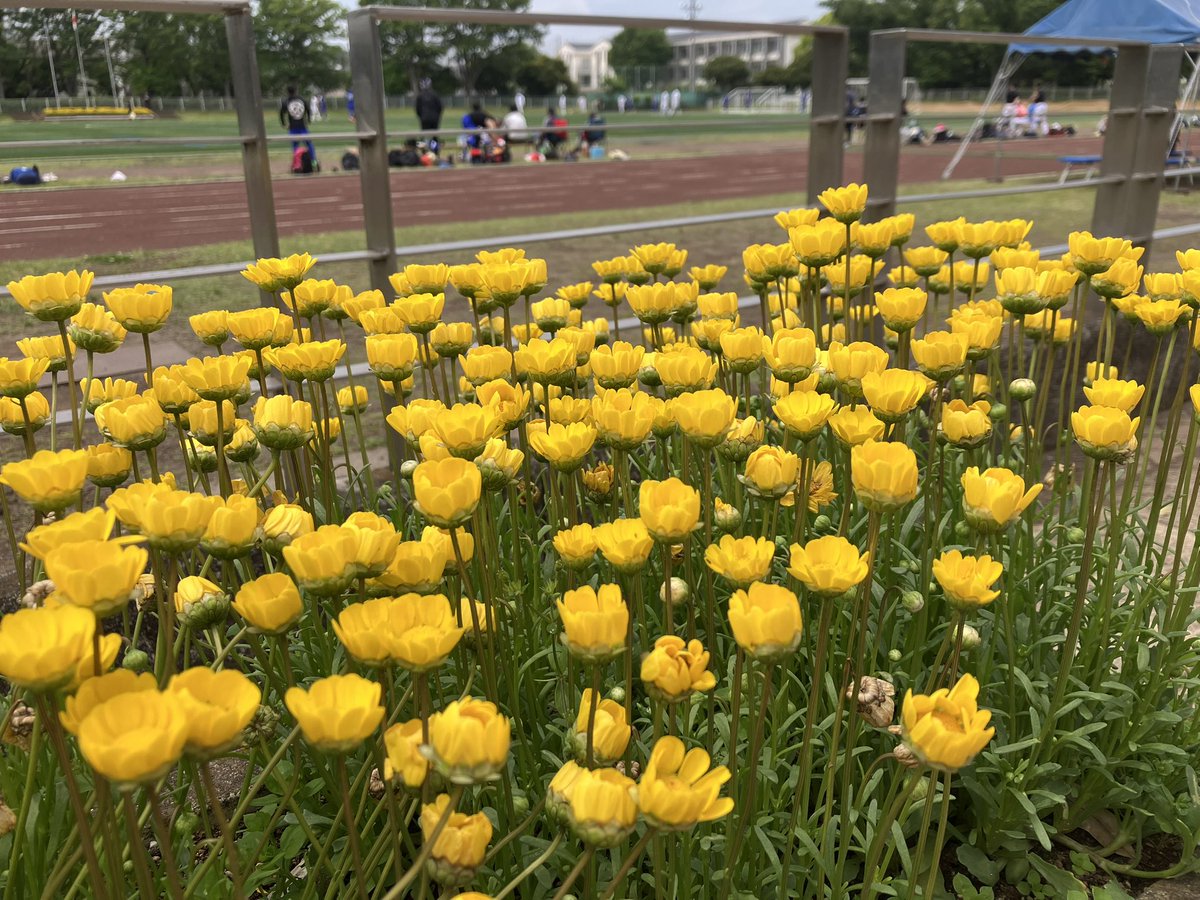カズヤ tweet media