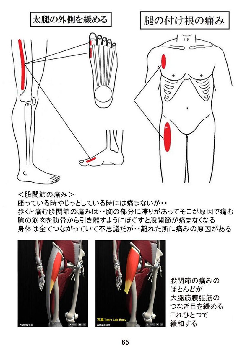 Shinko288536's tweet image. It’s amazing that the area near your toes is connected to the outside of your thighs.
足の指の近くと太ももの外側が繋がってるなんて本当に体は不思議だ。
#英語学習 #英語勉強 #English  #英語がすき #英語多読