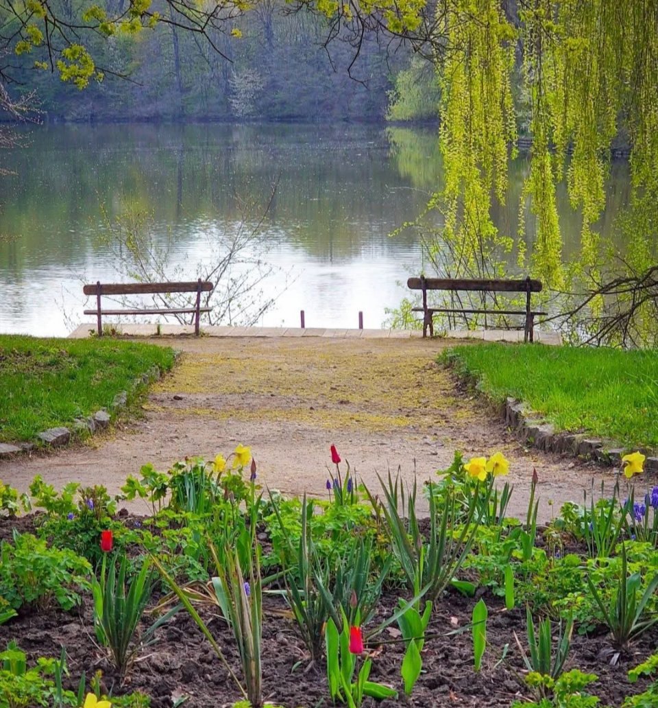 Щасливої та мирної травневої неділі. 
🍃🕊️🌷
