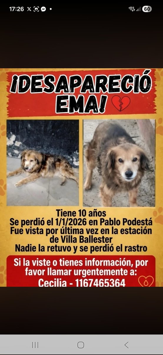 Maria Ines (@mariain77662119) on Twitter photo 