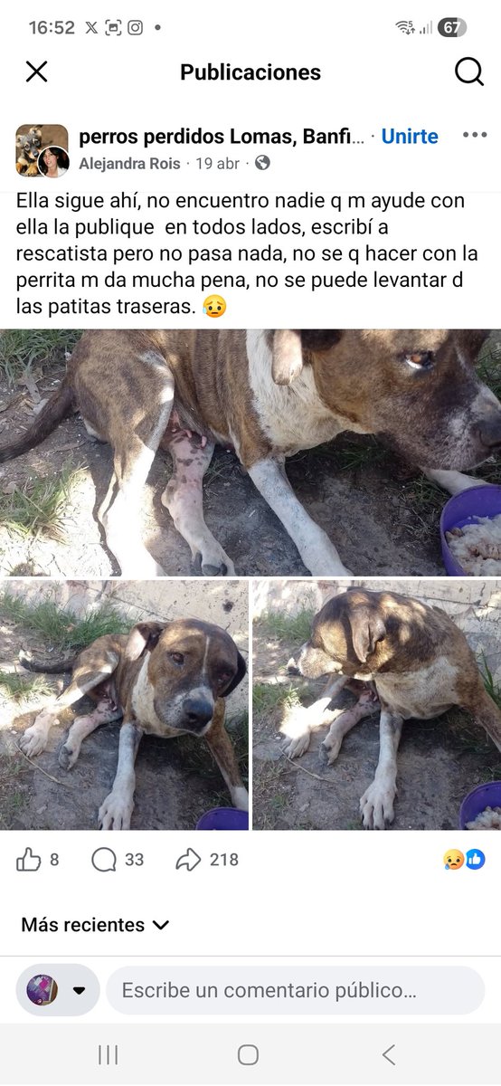 Maria Ines tweet media