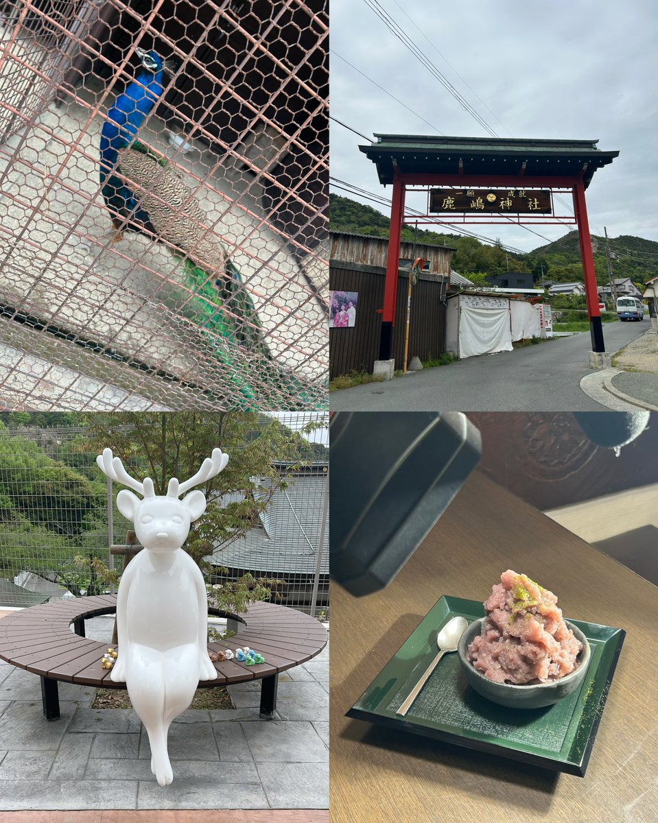山口りえ tweet media
