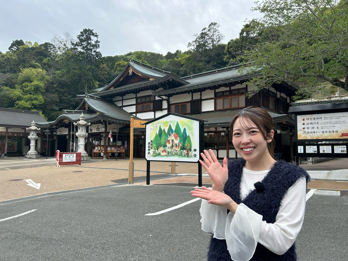 山口りえ tweet media