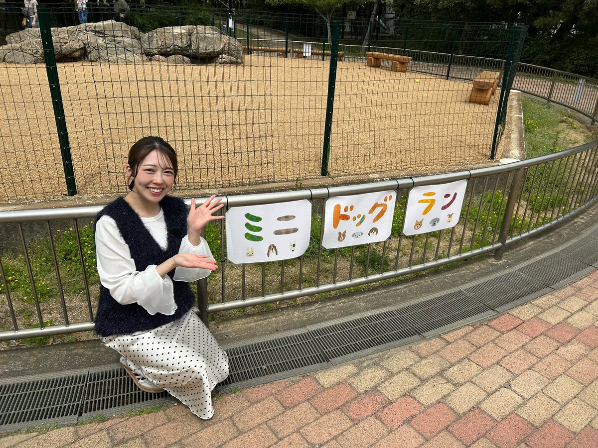 山口りえ tweet media
