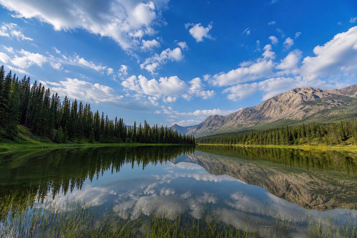 Finding peace in nature.
#BeautifulNature #Peaceful #NatureLovers