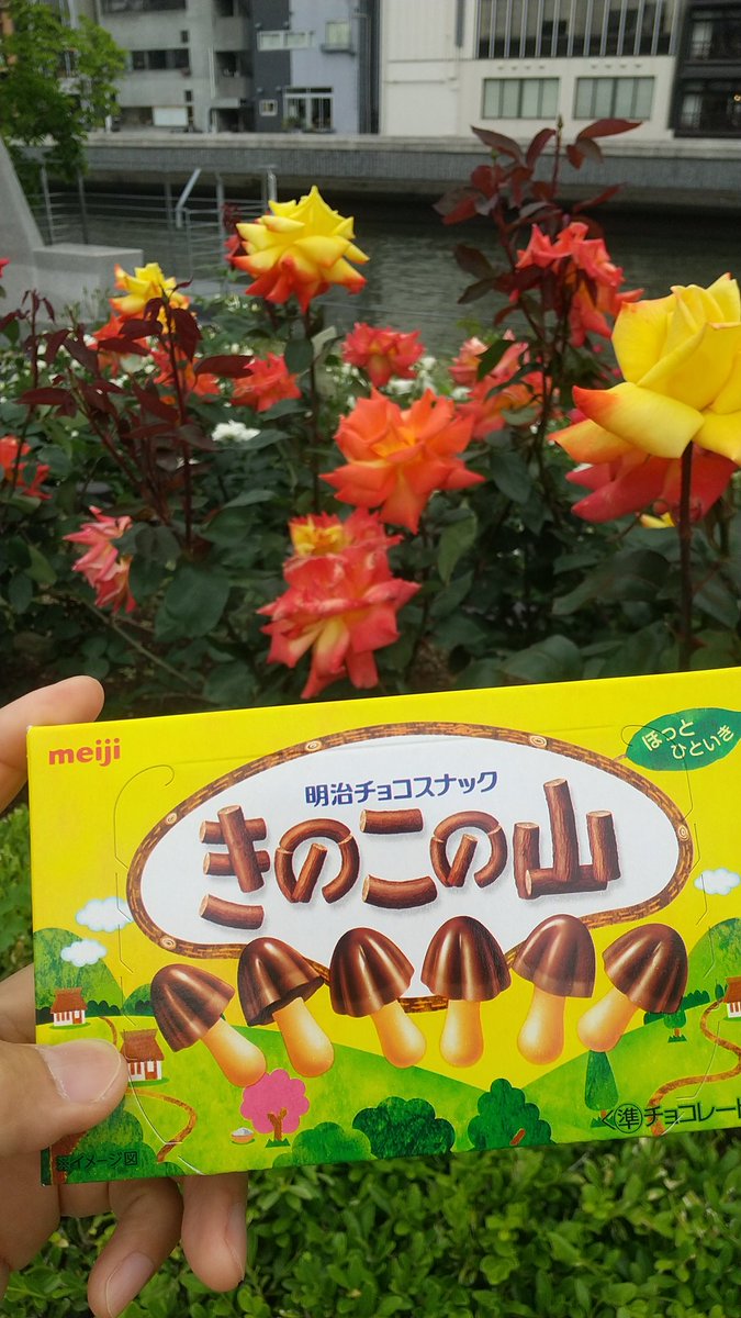 るんるん tweet media