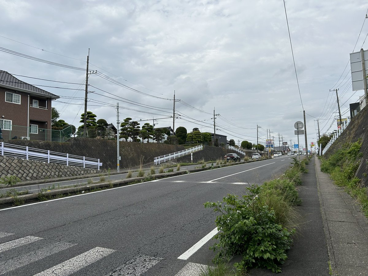 スーア先生 tweet media