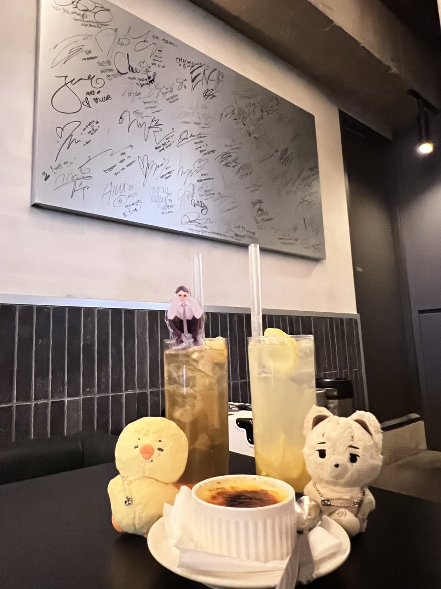 白いタヌキ🧷하얀 너구리 tweet media