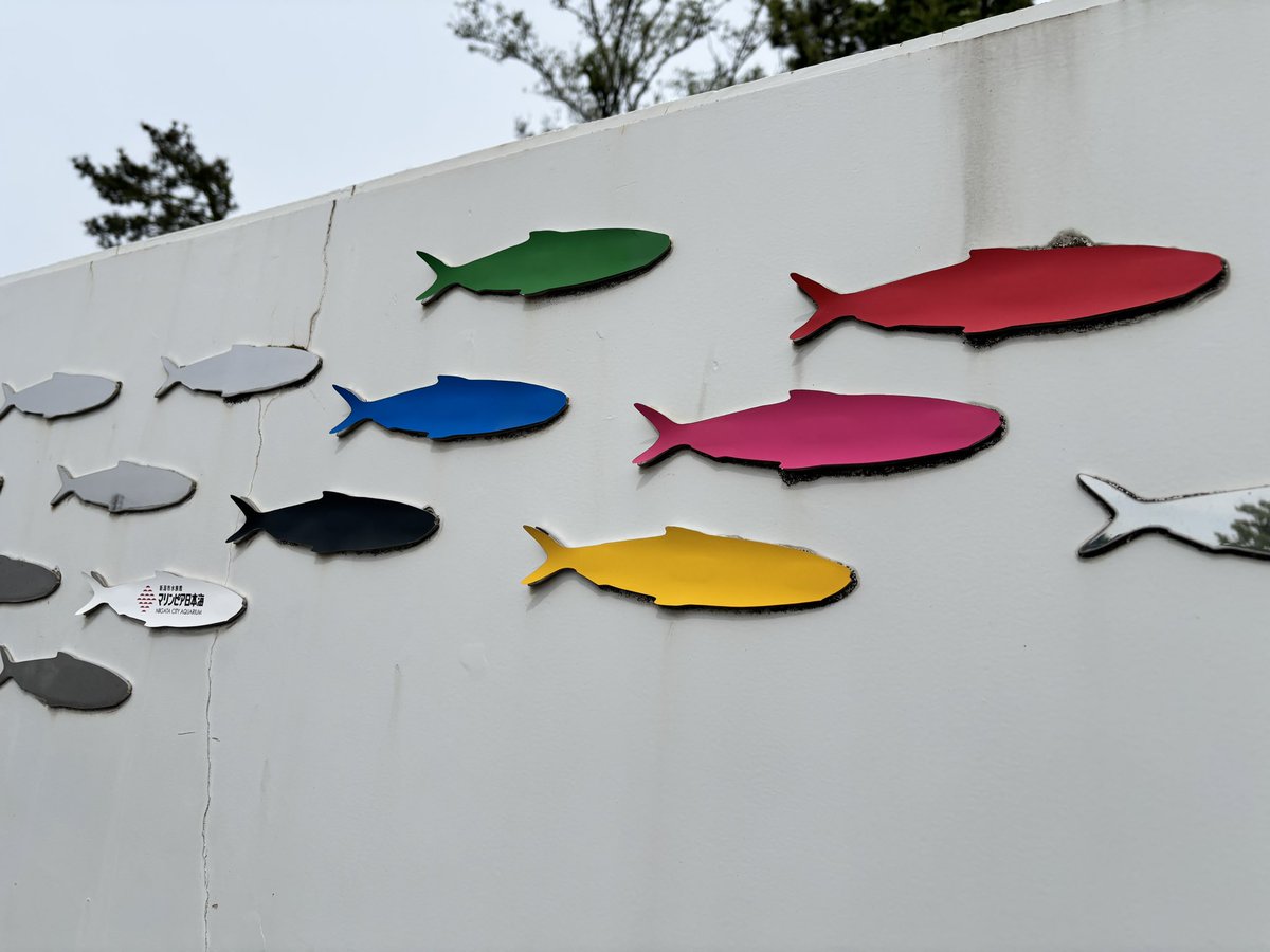 jZebra61129's tweet photo. SixTONESが新潟にいてくれてるからかな！？いつもはシルバーのお魚モニュメントたちがメンカラになってた🥹💎✨️

 #SixTONES https://t.co/RvE77SXsoi