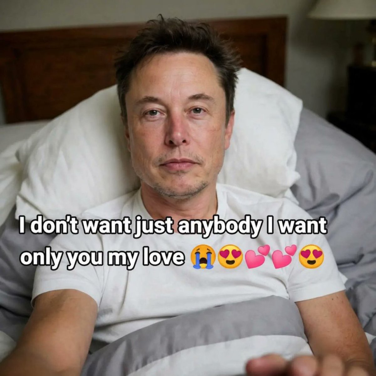 Fan Elon Musk 🚀 tweet media