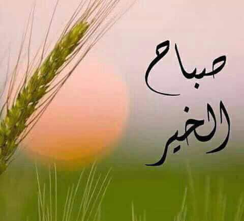 محمد عثمان البريجي tweet media