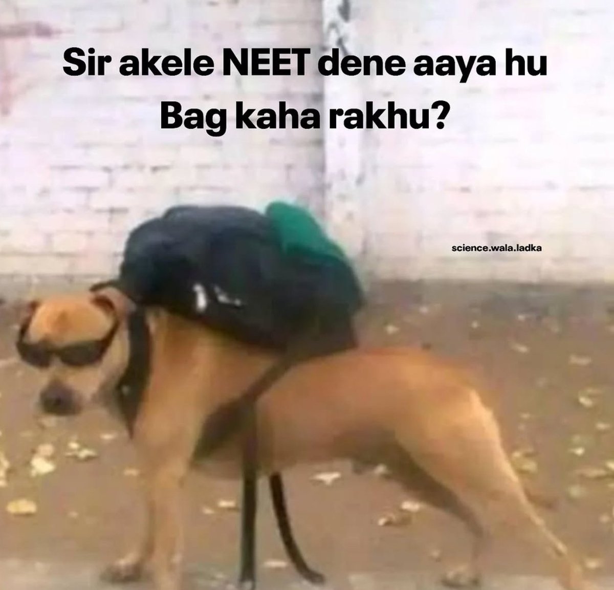 Prof cheems ॐ tweet media