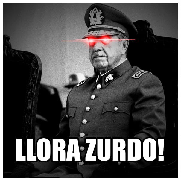 Patriota tweet media