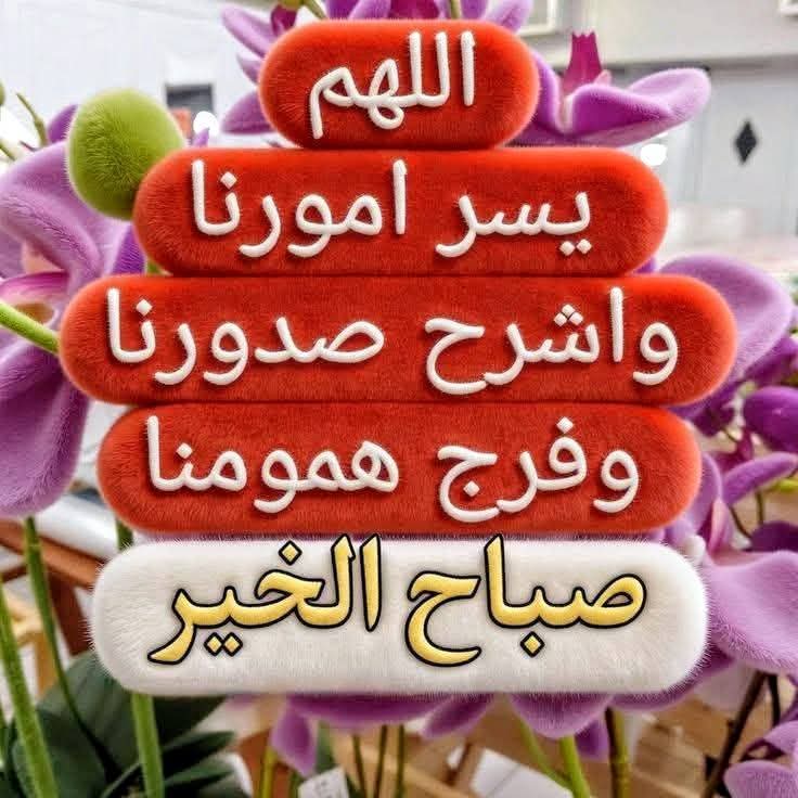 محمد عثمان البريجي tweet media