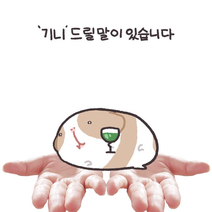 다림 tweet media