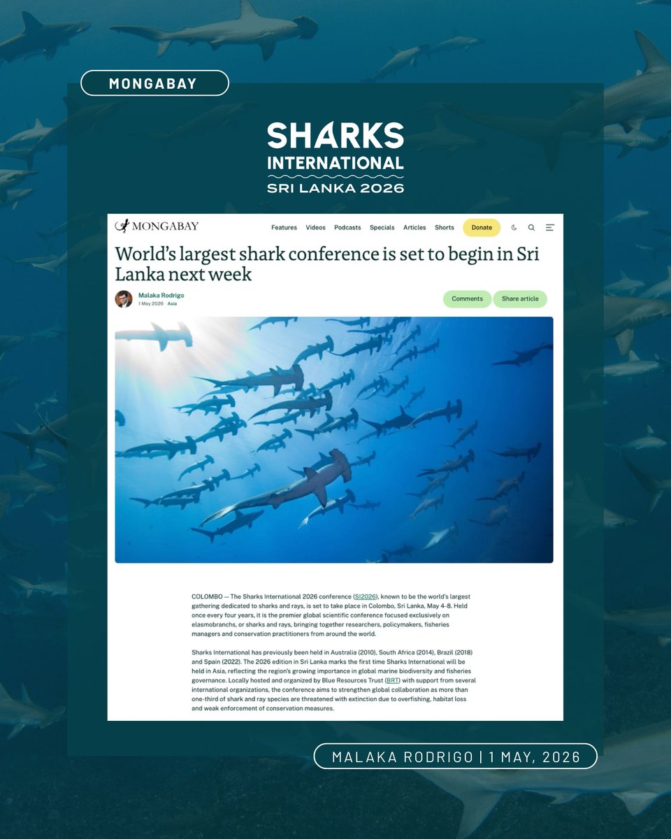 Sharks International 2026 tweet media