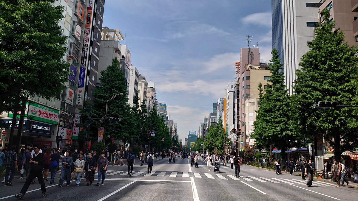 今日の秋葉原は歩行者天国か…