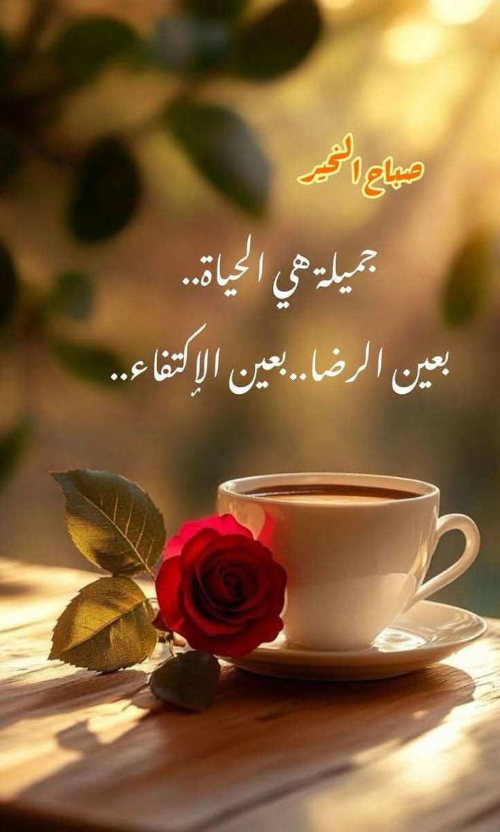ِِAhmed Abd Elaziz tweet media
