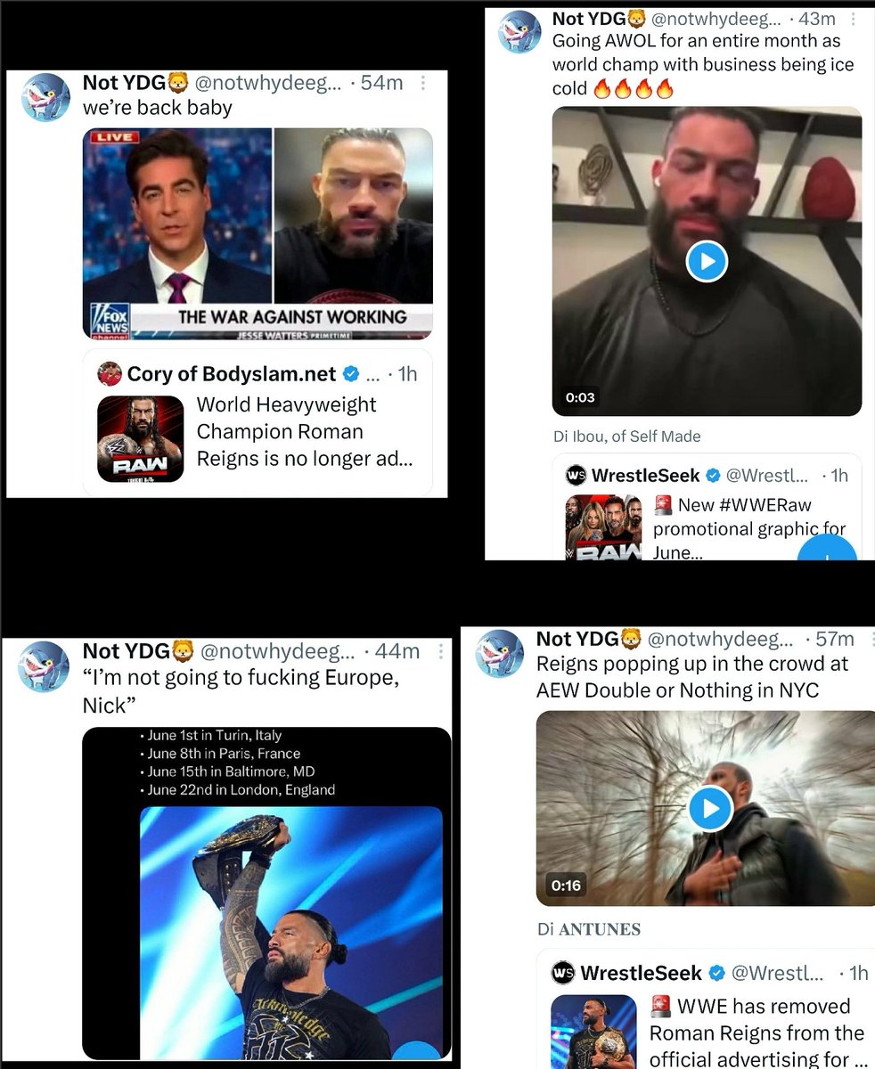 Angicer tweet media