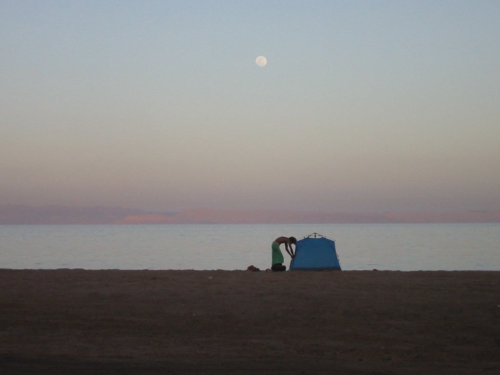 Mostafa حمزة tweet media