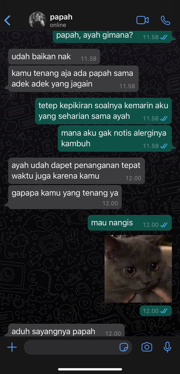 verseclaws's tweet photo. si ayah lagi sakit tapi phu ada program ke jepang seminggu gak bisa digantiin (alasan phu picky sama cowok gak boleh kasar gak boleh toksik soalnya papah aja sesayang ini sama dia) https://t.co/r18aLRxlet