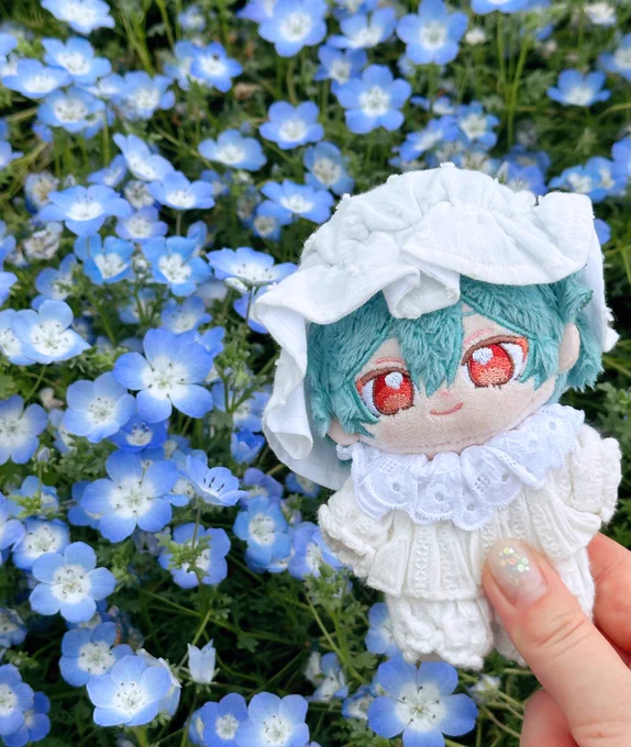 ライカぬい、ネモフィラだよ