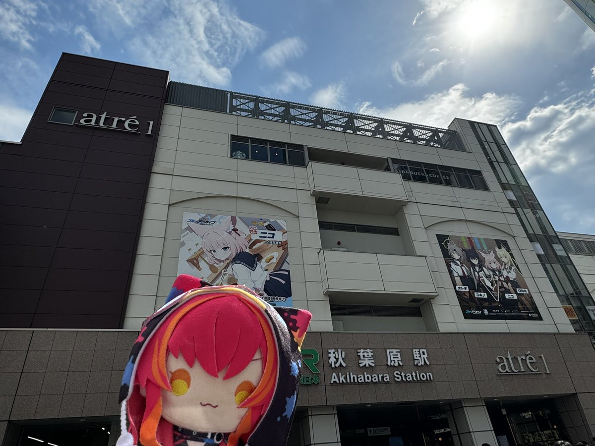 とらまる tweet media