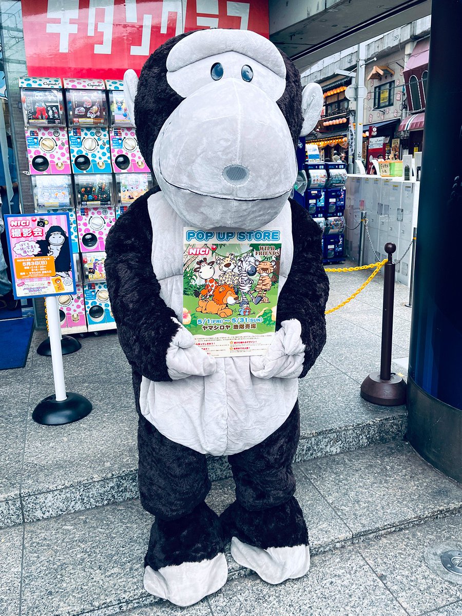 ヤマシロヤ【公式】 tweet media