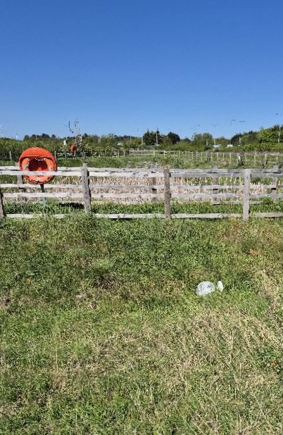 BBullrushes's tweet image. In and out of the local swales collecting #litter. A sack filled with #polystyrene from one, a huge football, a desk fan &amp;amp; a child's activity desk.  #NotABin #Derby @LitterReporting #LoveWhereYouLive