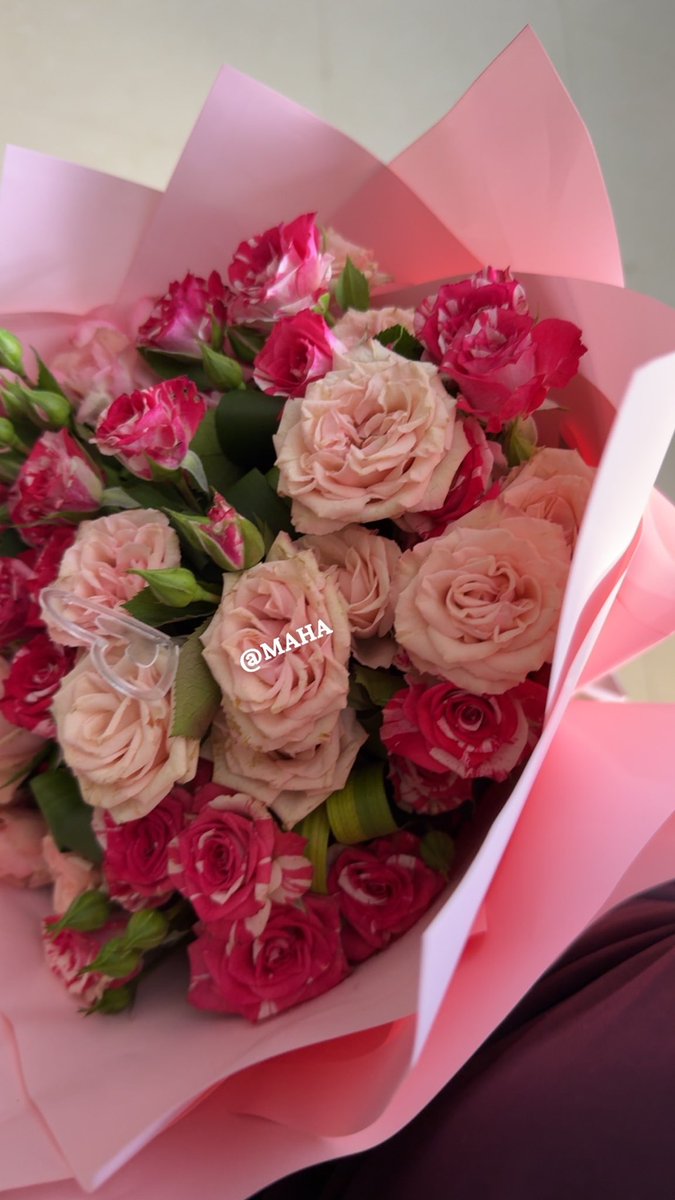 عاشـــِـَـِقـِـَـِة الـِـَـِمـــِـَـِيـِـَـِاوو💫 tweet media