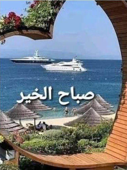 Hoda Zayed tweet media