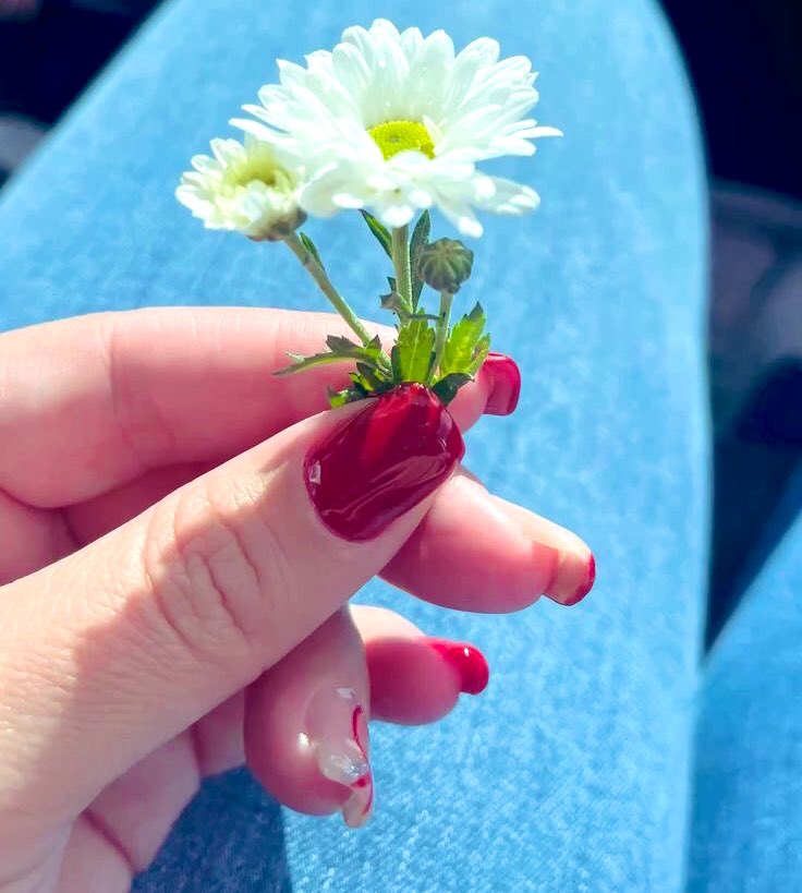 ❀𝓛𝓪 𝓛𝓾𝓷𝓪❀ tweet media