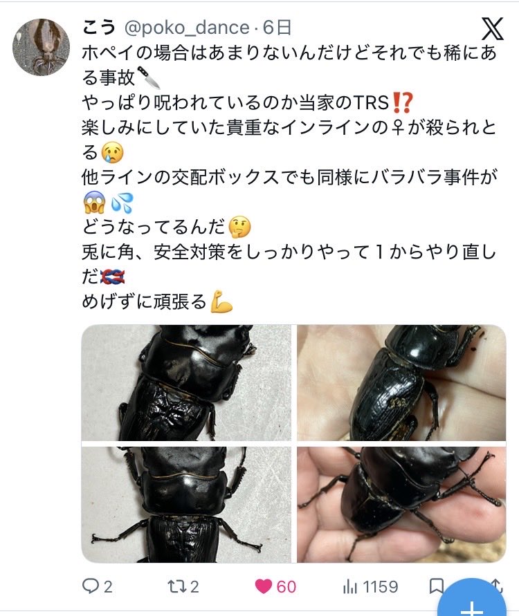 こう tweet media