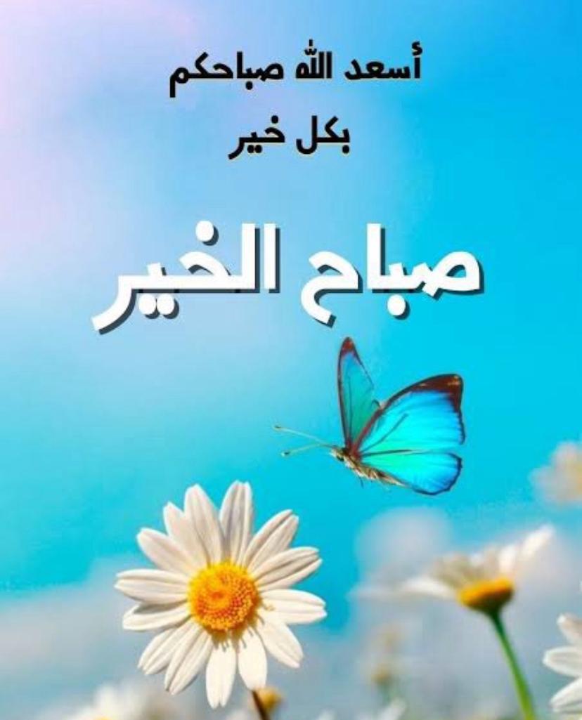 مشعل 🖤🇰🇼 tweet media